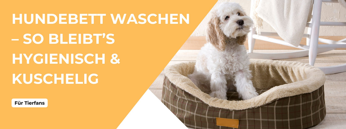hundebett waschen tipps