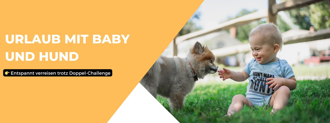 Baby und Hund im Urlaub