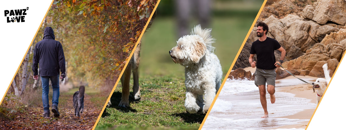 Herrchen geht mit Hund Gassi