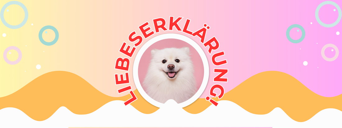 Liebeserklärung an meinen Hund
