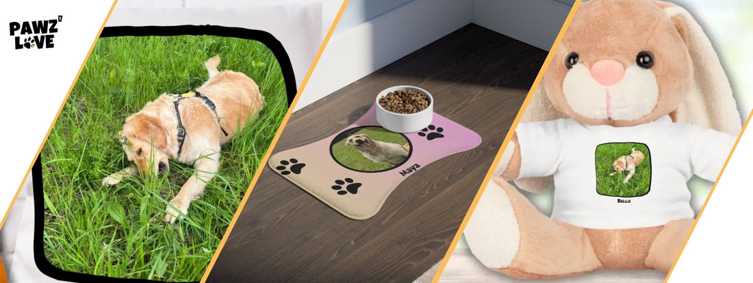 Wie Du das perfekte Foto von Deinem Haustier machst: Tipps für Tierliebhaber - PAWZLOVE