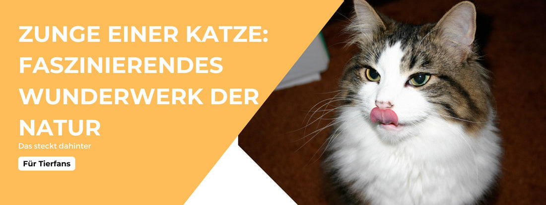 katze zunge fakten