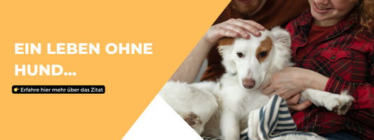 Ein Leben ohne Hund - Zitat Spruxh Loriot
