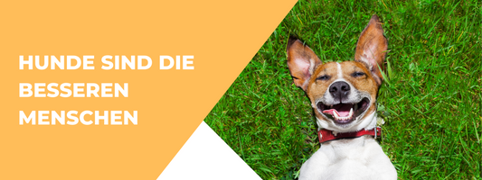 Zitat Spruch Hunde sind die besseren Menschen