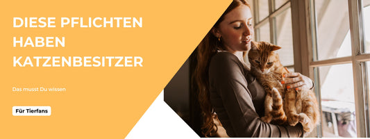 Entdecke die wichtigsten Pflichten für Katzenbesitzer