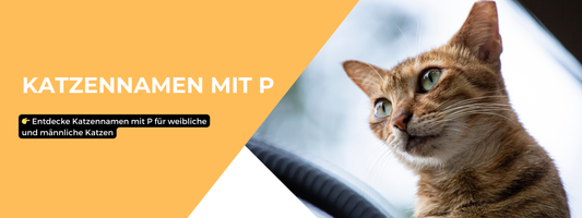 Katzennamen mit P