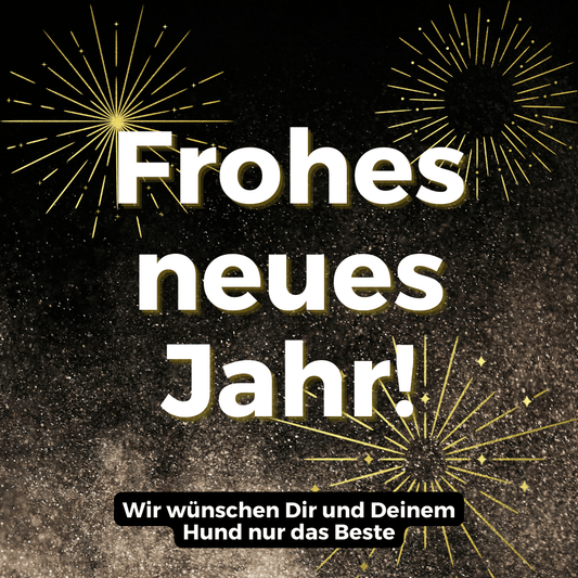 Ein entspanntes Silvester für Deinen Hund: Tipps für eine stressfreie Nacht - PAWZLOVE