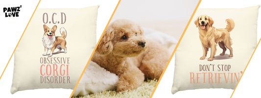 Hund schleckt und leckt Kissen ab Pawzlove blog