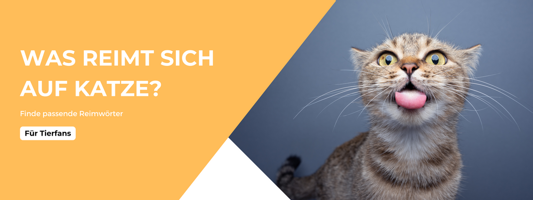 was reimt sich auf das wort katze