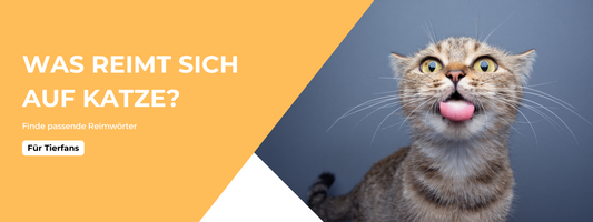 was reimt sich auf das wort katze