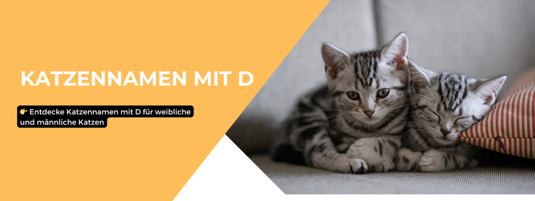 Katzennamen mit D