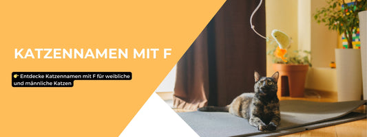katzennamen mit F