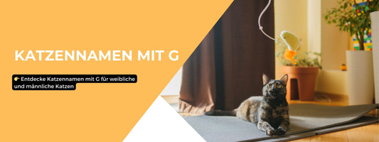 Katzennamen mit G 