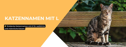 katzennamen mit l
