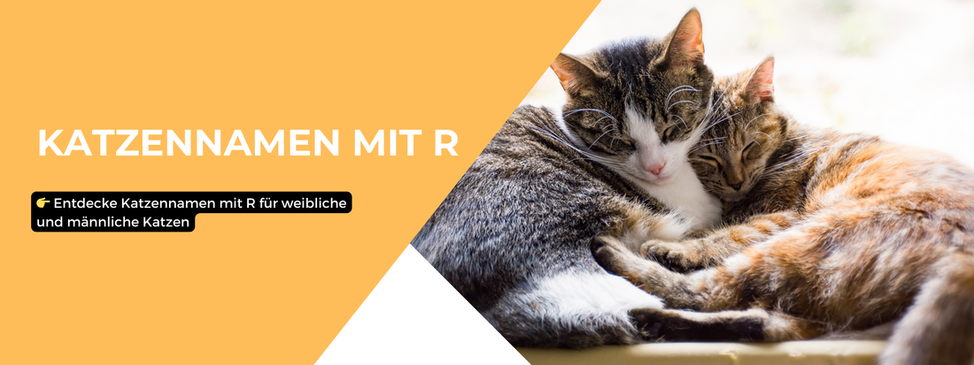 Katzennamen mit R