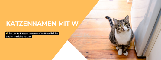Katzennamen mit W 
