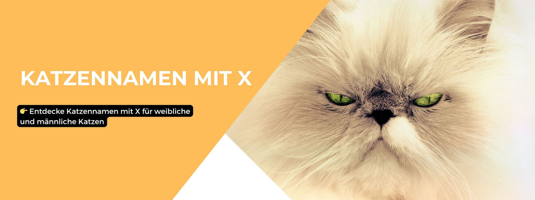 Katzennamen mit X