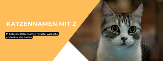 Katzennamen mit Z