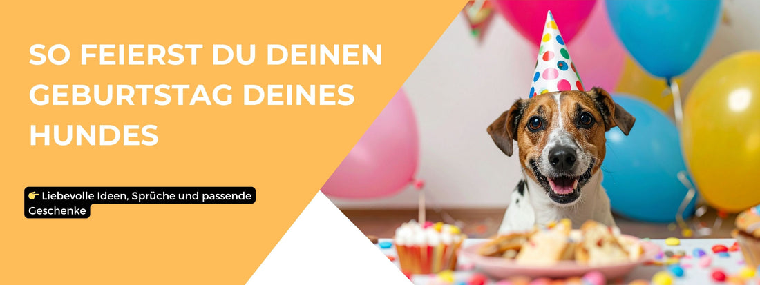Geburtstag Hund 