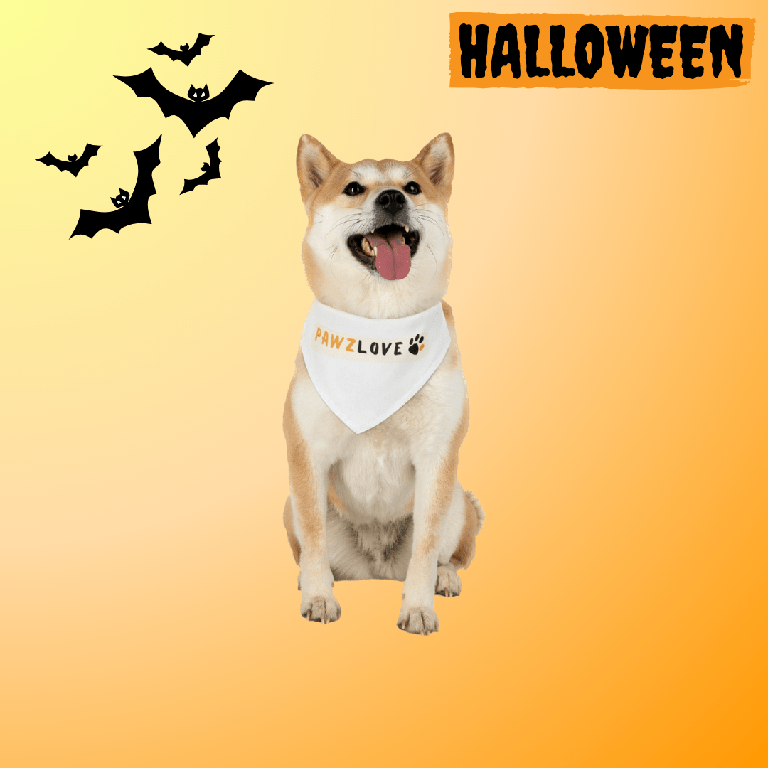 Spooky Season Special: Exklusive Halloween-Designs für die Pawzlove Premium Line! - PAWZLOVE