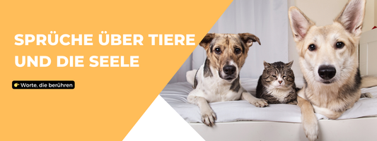 Sprüche tiere seele