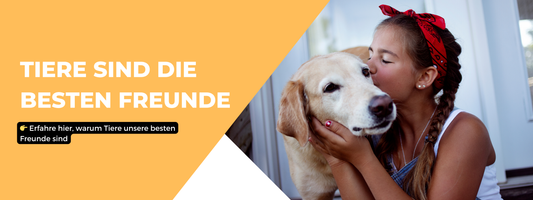 tiere sind die besten freunde