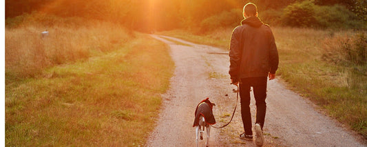 Was kostet ein Hund im Monat? Eine detaillierte Übersicht der monatlichen Ausgaben - PAWZLOVE