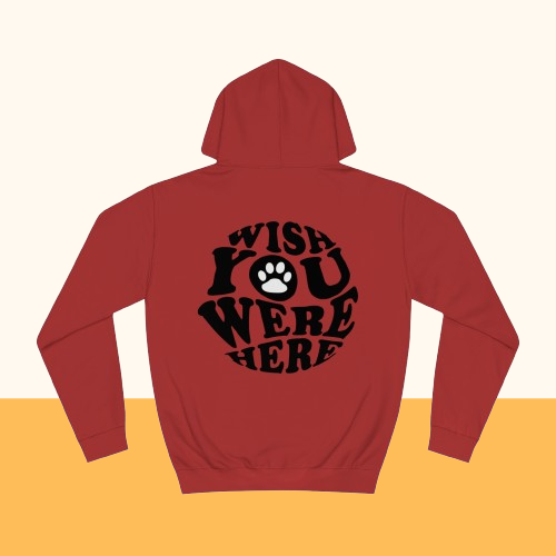 Backprint College Hoodie "Wishes"