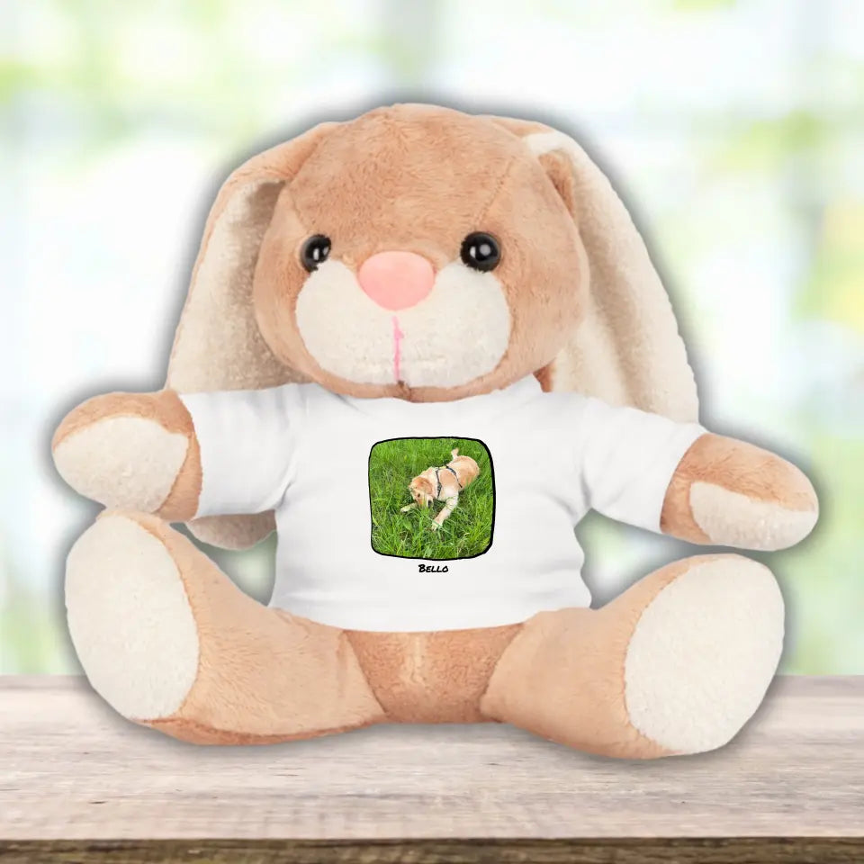 Personalisiertes Bär Plüschtier mit Foto Produkte: Plüschtier mit T-Shirt - PAWZLOVE