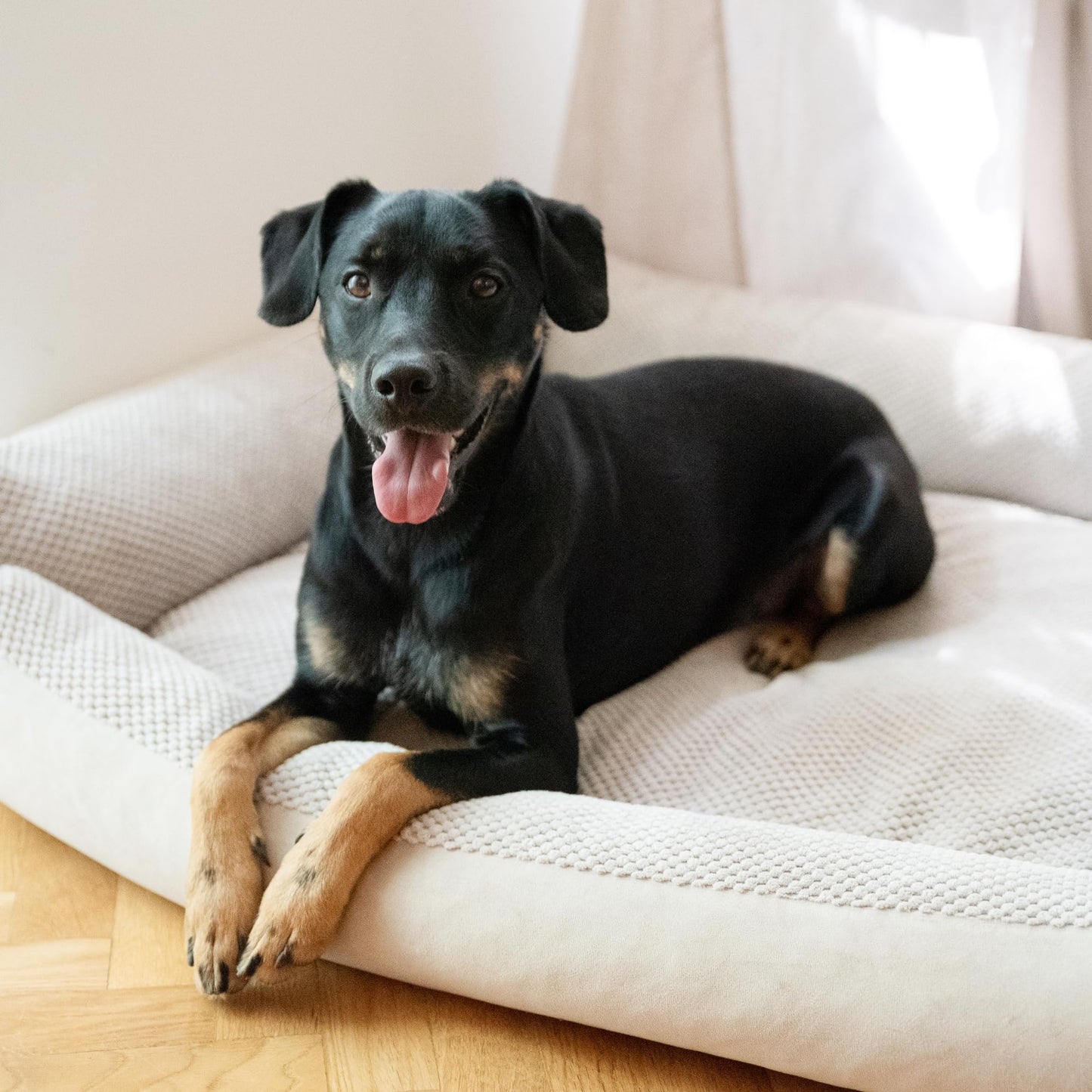 4L Textil Kuscheliges Hundebett für mittelgroße Hunde