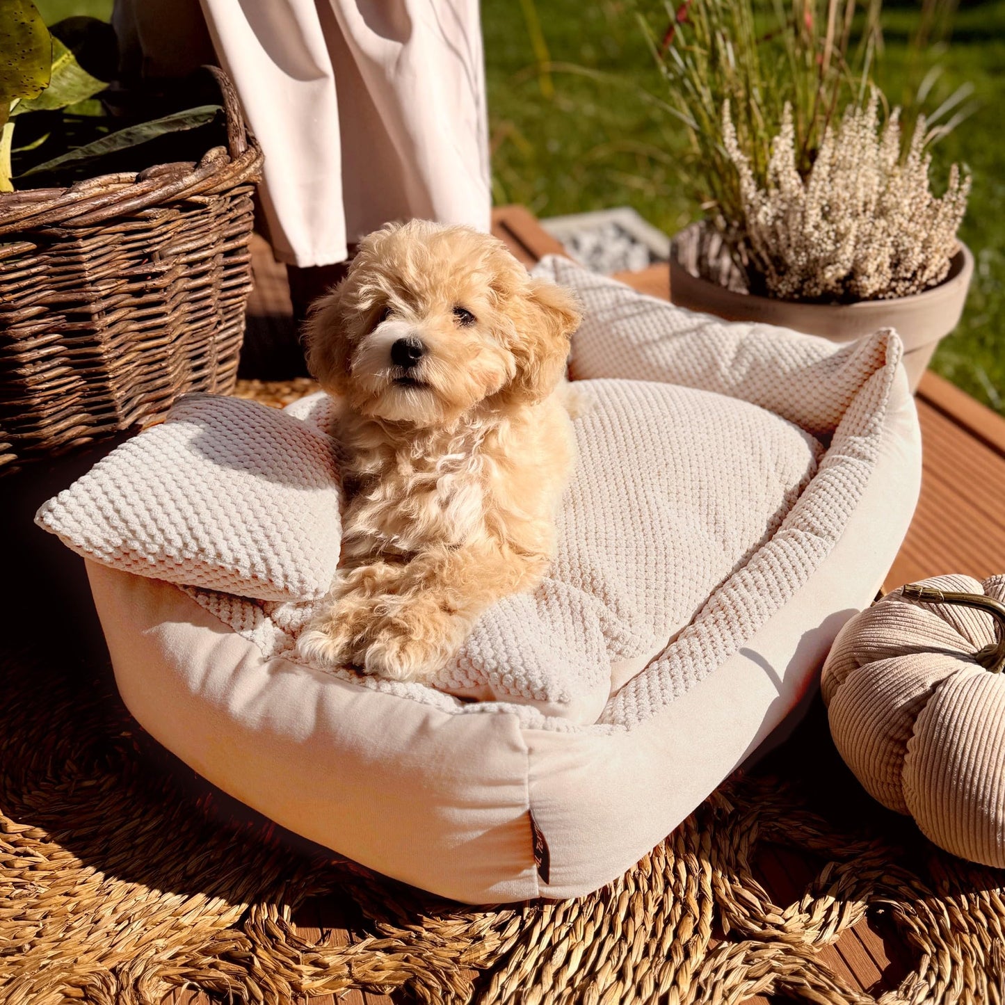 4L Textil Kuscheliges Hundebett für mittelgroße Hunde